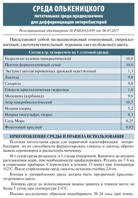 Национальный проект «Жилье и городская среда»