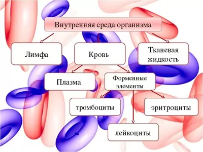 Технологическая среда как часть проектирования опыта сотрудниковTalent  Management