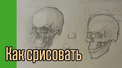 Срисовать картинки фотографии