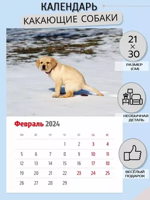 Догхантеры травят собак порошком в парках