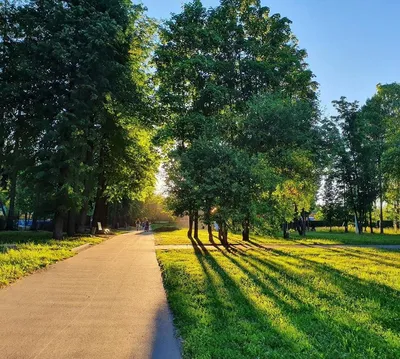 Парк Космонавтов в Ижевске — беседки, официальный сайт, адрес, фото,  аттракционы, отзывы на Туристер.ру