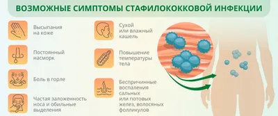 Заболевания глаз у собак: какие бывают, их причины и лечение | Домашние  животные. Ветеринария | Дзен