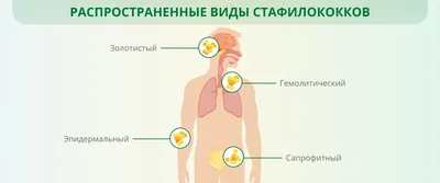 🔹️Большое количество возбудителей в окружающей среде значительно усложняют  жизнь домашних животных, в частности собаководов. Оградить животное от всех  патогенов невозможно. Поэтому, необходимо знать, как проявляются признаки  заражения теми или иными ...