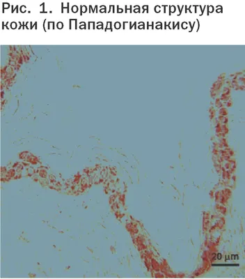 Каталог - страница 32 из 162