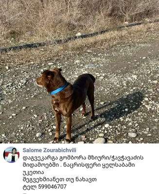 Это пока не Большой террор. Но это сталинская логика» Россию накрыла волна  политических дел. Оппонентов власти сажают на немыслимые сроки. Неужели  «новые массовые репрессии» все-таки начались? — Meduza