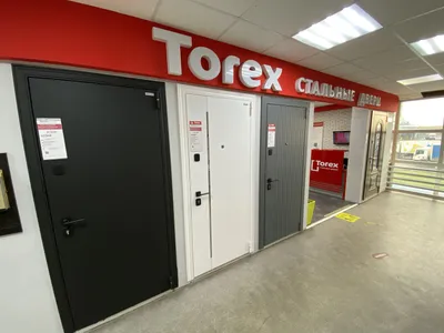 Двери Torex в Туле – цены на входные двери Торекс / Салон интерьера  «Эклектика»