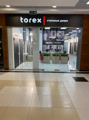 Torex Стальные двери Дверь входная металлическая для дома Village E  950x2050, L