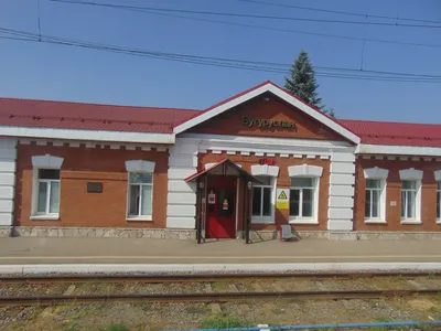 Станция фасовки овощей «ЧИПОЛЛИНО» - vzvt.ru - Оренбург, Оренбургская  область