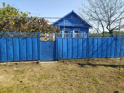 Пиво и рыба, магазин пива, Краснодарский край, Тихорецкий район,  Архангельское сельское поселение, станица Архангельская, улица Карла Маркса  — Яндекс Карты