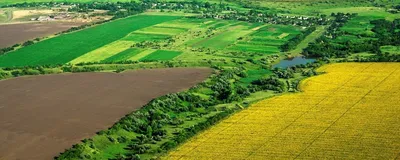 Продам дом на улице Садовой в станице Архангельской в районе Тихорецком  Архангельское сельское поселение 43.0 м² на участке 25.0 сот этажей 1  1000000 руб база Олан ру объявление 83796679