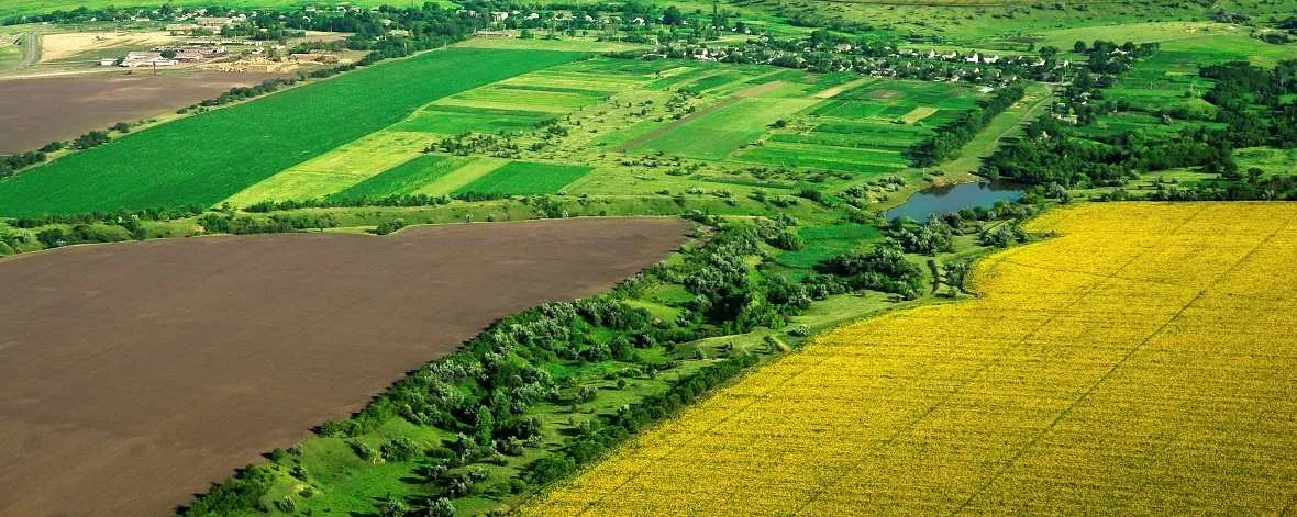 Продам дом на улице Садовой в станице Архангельской в районе Тихорецком Архангельское сельское поселение 43.0 м² на участке 25.0 сот этажей 1 1000000 руб база Олан ру объявление 83796679 Продам дом на улице Садовой в станице Архангельской в районе Тихорецком Архангельское сельское поселение 43.0 м² на участке 25.0 сот этажей 1 1000000 руб база Олан ру объявление 83796679