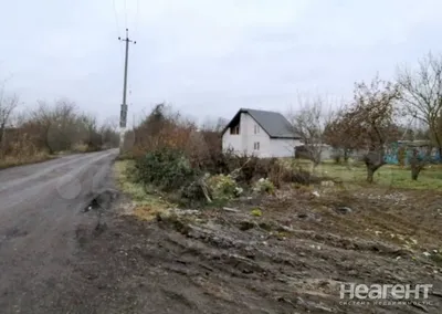 Вылетевшая с трассы BMW оставила без света станицу в Краснодарском крае -  Газета.Ru | Новости