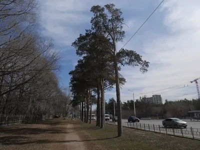 Купить Таунхаус в микрорайоне Старгород (Омск) - объявления о продаже  таунхаусов недорого: планировки, цены и фото – Домклик