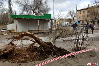 Исчезнувшие советские магазины: куда ходили за покупками в Сталинграде- Волгограде | Блокнот Волгоград | Дзен