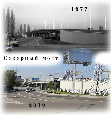 Краснодар. Парк им. М. Горького. Западная аллея. Вид на север.