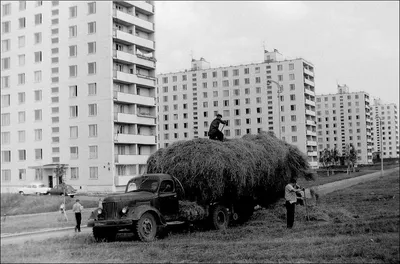 Картина маслом. \"Высотки Москвы. Новые и старые\" (Серия \"Пейзажи Москвы\")  60x90 CV101402 купить в Москве