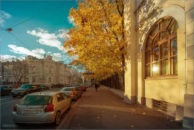 Тверская улица (Москва) — Википедия