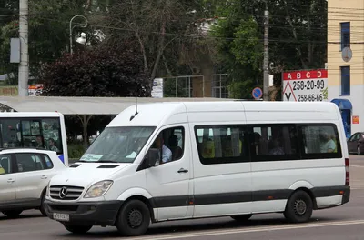 К фестивалю вареников из Воронежа запустят новый рельсовый автобус до  Белгорода