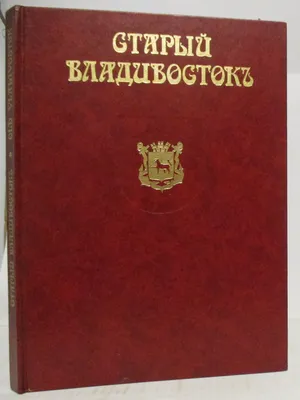 Вид на зимний Владивосток, 1918 год. | Instagram