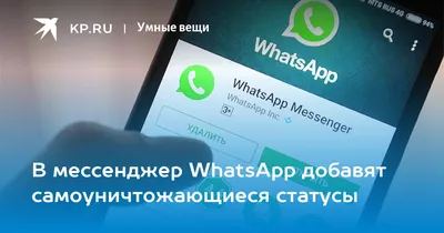 WhatsApp выпустил обновление для раздела «Статусы». Что изменилось | РБК  Life