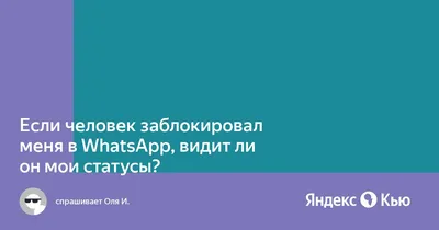 Как мы продаём услуги, через статусы в WhatsApp — Маркетинг на vc.ru