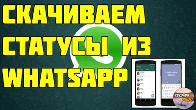 Что означает синий или зеленый кружок в WhatsApp? | SMobail - Твой личный  помощник | Дзен