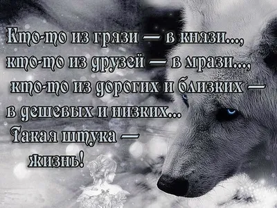 Книга \"Что говорят умные женщины. О любви, мужчинах, смысле жизни и самих  себе\" Уикис К - купить книгу в интернет-магазине «Москва» ISBN:  978-5-386-02917-3, 591507