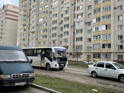 Люблю я Ставрополь красивый, Люблю я Ставрополь родной. Город красок, город  света. Город с чудной красотой ! | Пикабу