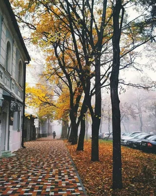 Лучшие фото выбрали в Insta-челлендже «Мой любимый Ставрополь» | Своё ТВ