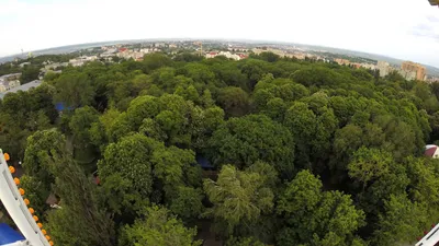 Город Ставрополь, кибер будущее, …» — создано в Шедевруме