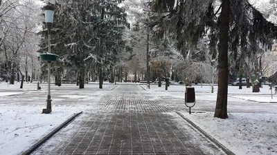 До -14 градусов опустится температура воздуха на Ставрополье | 15.02.2021 |  Ставрополь - БезФормата