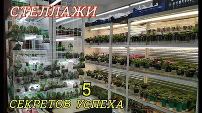 Подставка для цветов на 4 полки \"Стеллаж-9\" (ID#1127434552), цена: 5949.15  ₴, купить на Prom.ua