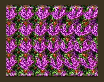 Color Stereo Hidden Image Stereogram Gallery