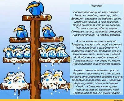 Как перевести текст с картинки на другой язык, обзор сервисов