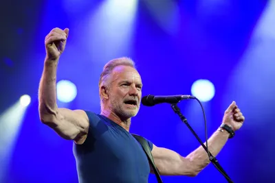 Sting - Iconic Pop Rock Singer Songwriter | uDiscover Music