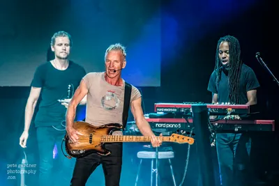 Sting Re-Records His Hits: 'They Are Not Holy Relics.' - WSJ