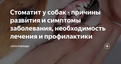 Заболевания полости рта у собак и кошек Мир хвостатых - журнал о домашних  питомцах.