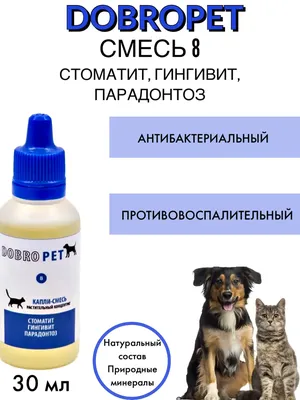 Заболевания ротовой полости у кошек и собак.