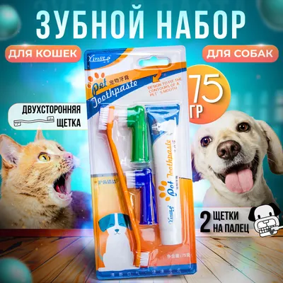 Больные зубки: как понять, что у вашего питомца проблемы в полости рта -  KP.RU