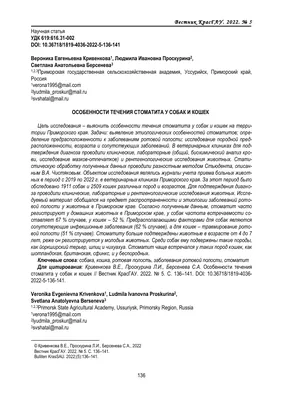 Галитоз – статья о лечении животных ИВЦ МВА