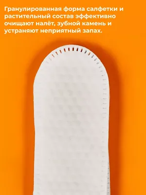 Гигиена полости рта у животных - нужно ли этим заниматься?