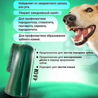 Смена зубов у щенков