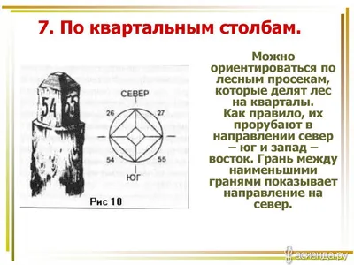 Стороны света иллюстрация штока. иллюстрации насчитывающей южно - 48766811