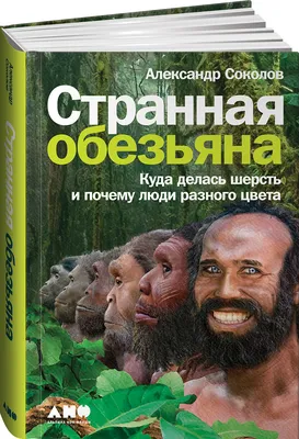 Александр Соколов «Странная обезьяна: куда делась шерсть и почему люди  разного цвета» - ВСЕ СВОБОДНЫ