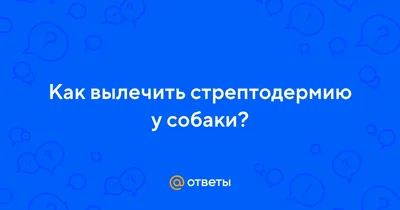 стрептодермия? — 15 ответов | форум Babyblog