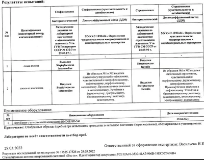 Пиодермия у собак: симптомы, причины и эффективное лечение