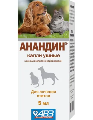 Сухой корм для собак PRO PLAN VETERINARY DIETS HA при пищевой  непереносимости, 3 кг - отзывы покупателей на маркетплейсе Мегамаркет |  Артикул товара:100001277243