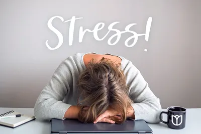 How to De-stress | You Must Complete the Stress Cycle