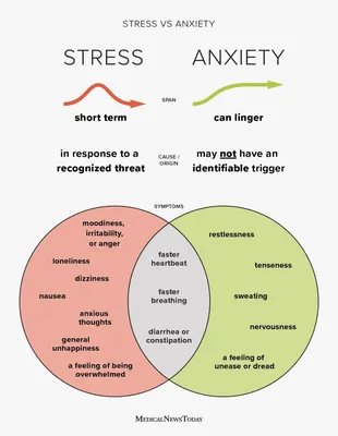 The Impact of Stress - SynappseHealth