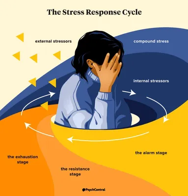 Acute Stress Disorder: Diagnosis, Symptoms, and More